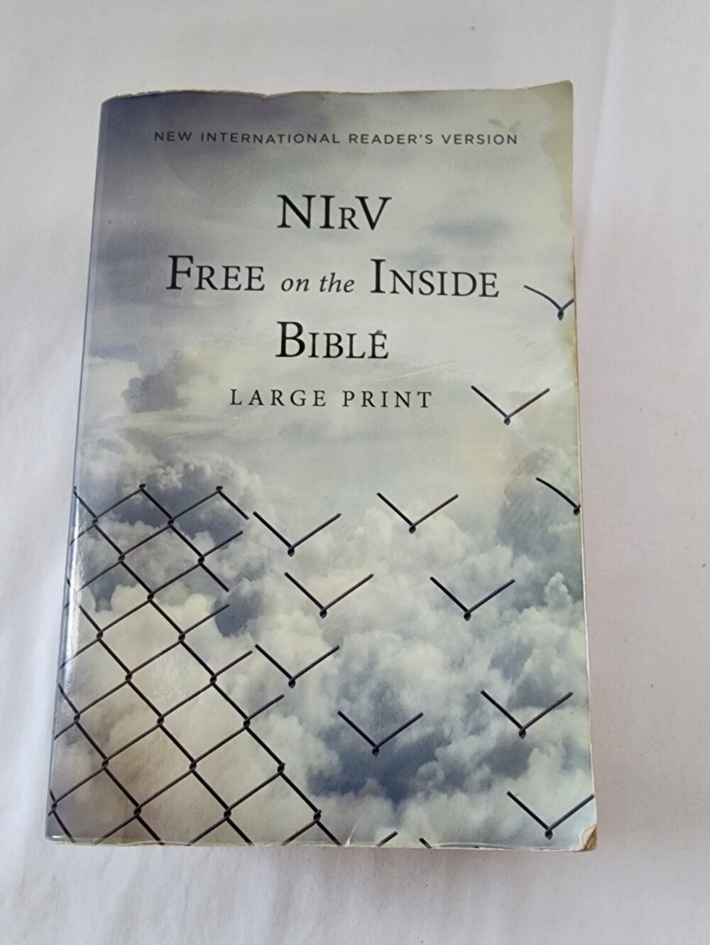 NIrV Free on the Inside Bible, Large Print published For Prison Ministry